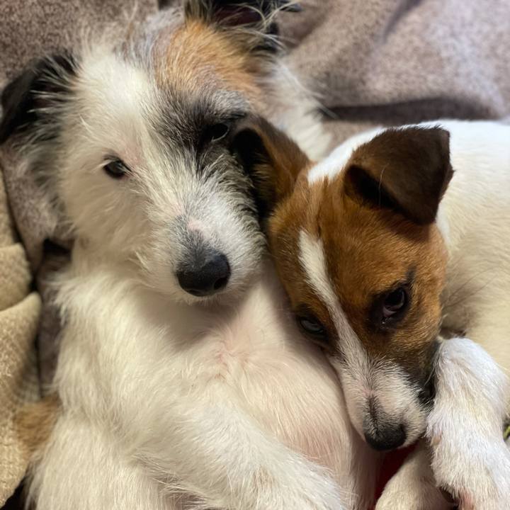 58586de0 0a0f 4d17 96b0 5b90a7561619 1619669813967