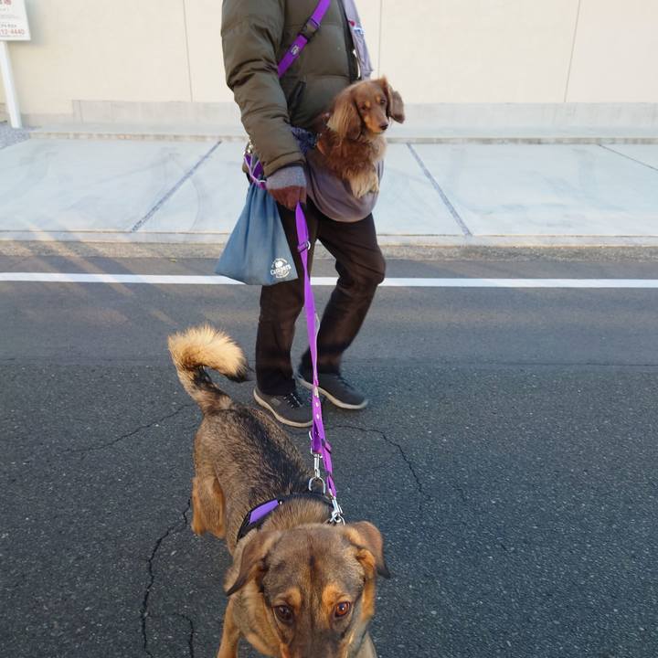 5858756c da7a 4fef a571 8c8caa57a812 1701400794602