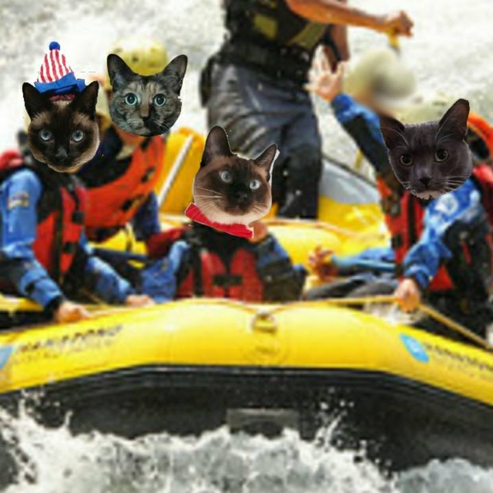 58592034 1249 4299 b892 4ae4da5244db 1525087868507