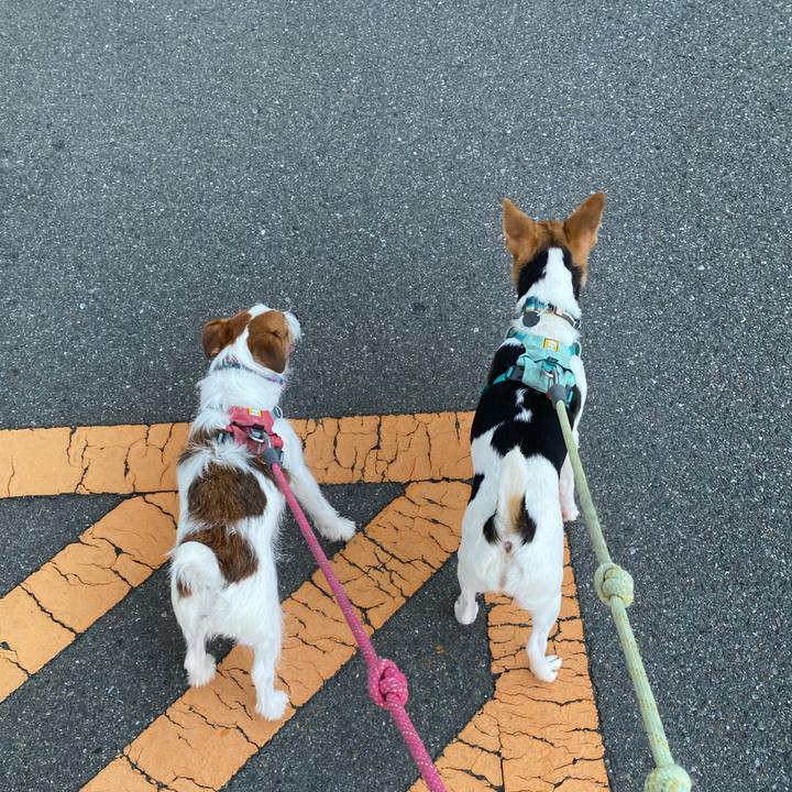 585942b3 7911 4fe0 ac21 0a0b53af1f2c 1757112340630