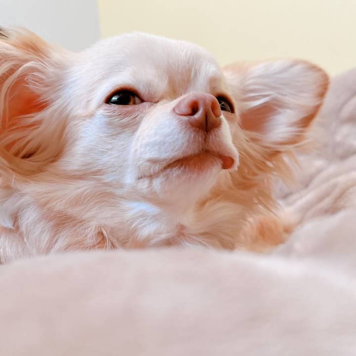 58596270 5170 4d8d 82be 1546657d0295 1656561878820