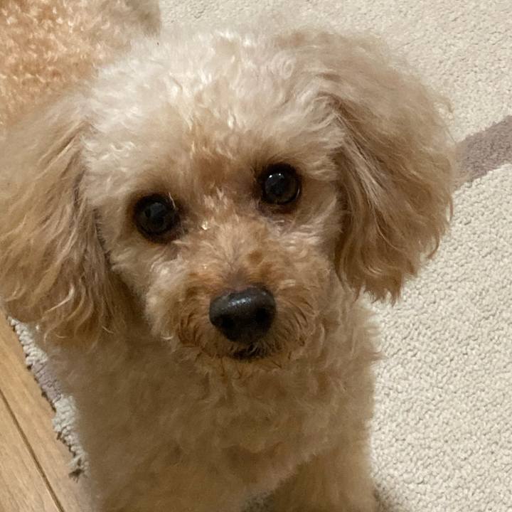 58597049 3bb7 4644 86fc 0320d31a12b1 1663882322905