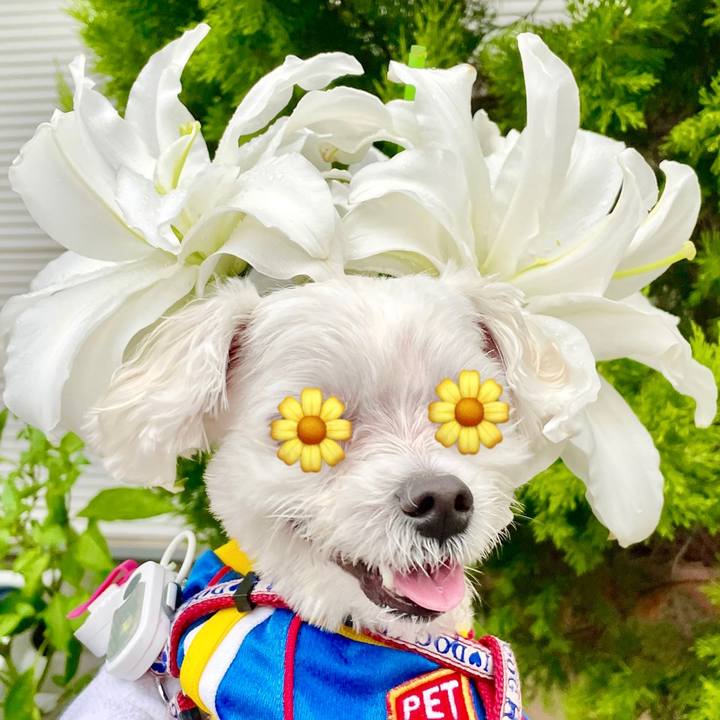 585a2e23 806d 4697 9968 970de3c2fcb0 1625706142731