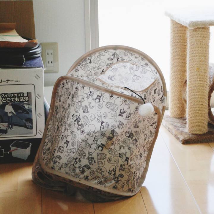 585a3ba8 f240 4bbd 9386 cccb710613b8 1533012648272