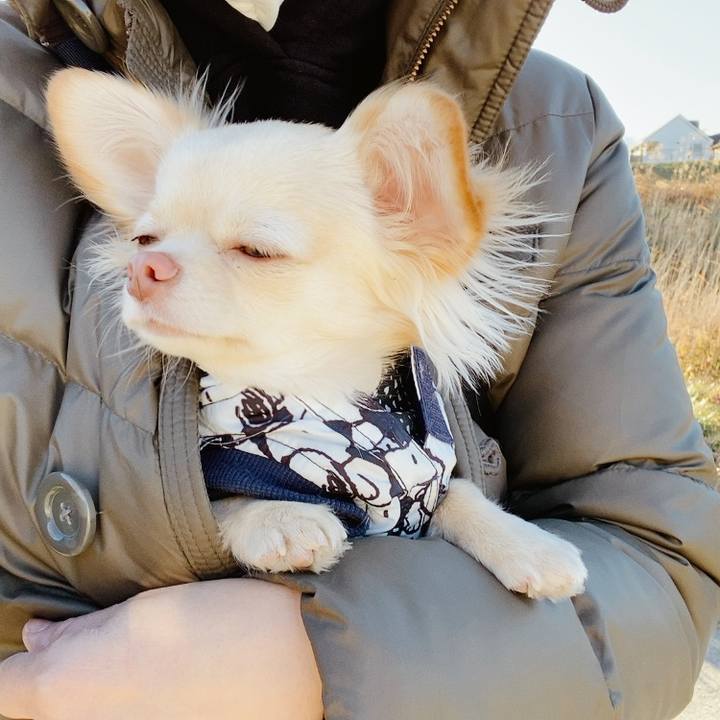 585a636d 95cd 4b55 9fca 0b19a630190b 1611043839413