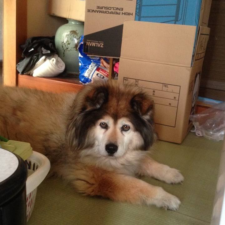 585a8059 102f 4dae a9ab 9f01ac5a5717 1577510928128