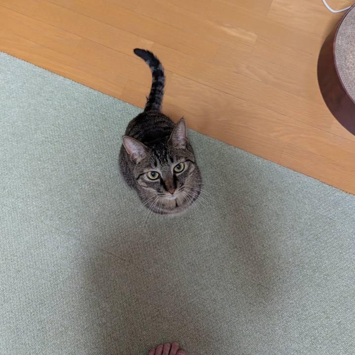 585a83df 8406 4329 9ec0 ea093772fbc4 1750143746796