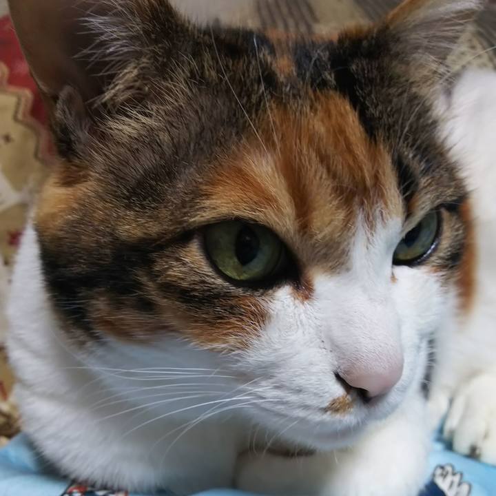 585a9c94 389d 4a5e 9223 5034e6caaf62 1584614415243