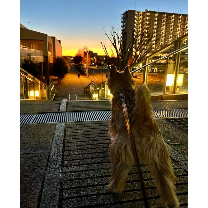 585ab53b 4d28 4cf9 8b34 23981e666f5d 1736296381982