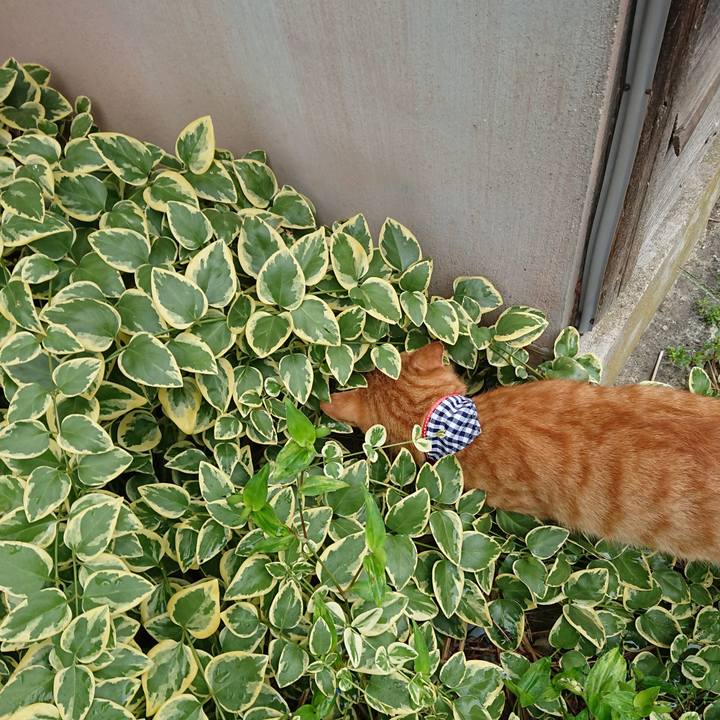 585abef4 c67a 4146 b1ea 1a52bf4c9794 1568611570034