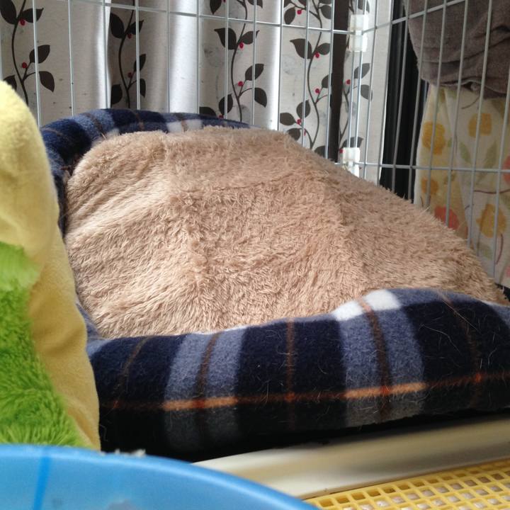 585addeb 963b 4ae2 8cb1 f40967829773 1732743035797