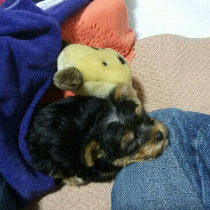 585ae251 2744 4cd9 bfc2 91dabf28bc8e 1527761306091