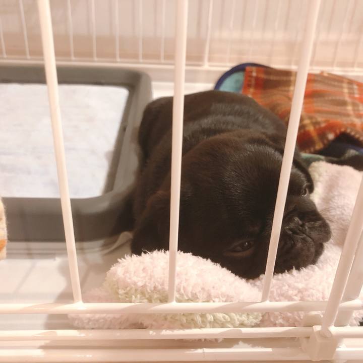 585ae879 4b14 441d 94d6 fbe9b2d4497e 1586817674653