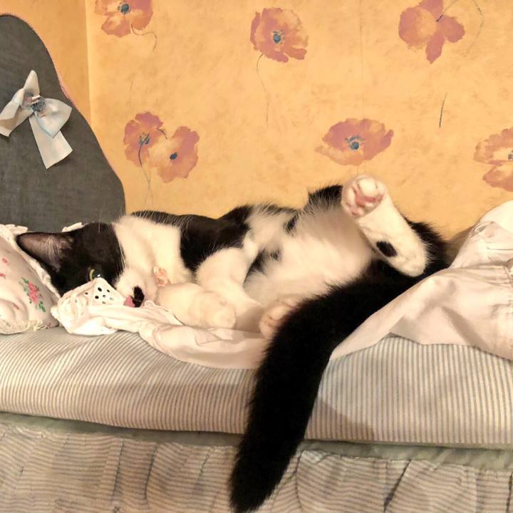 585b0e67 c135 4db7 9833 7bc6b00d0c0c 1537956954814