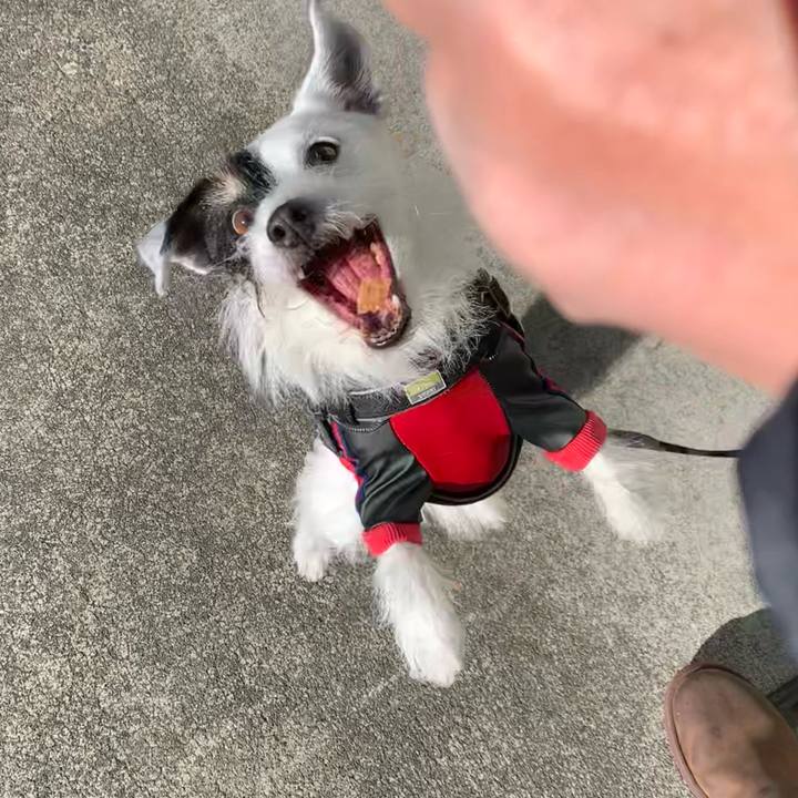 585b2420 930d 452e 9405 25cd7e139527 1736506326522