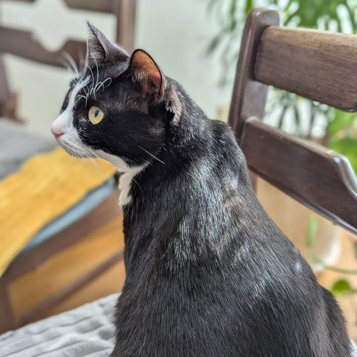 585b26ee 9058 4c6e 983a a55369f094b0 1733554537122