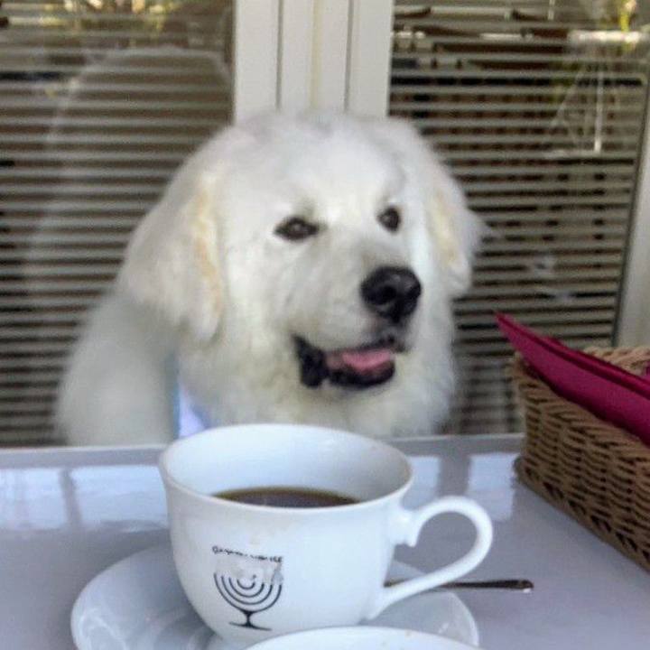 585b2a17 e59b 4681 a439 e10477d8c442 1717222043000