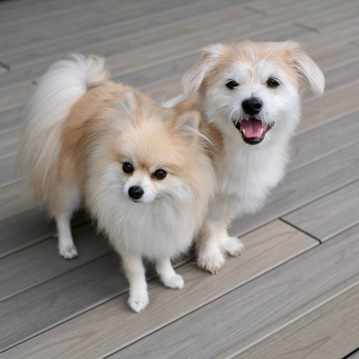 585b3884 33ae 4425 a13c c2483b189d66 1760308135768