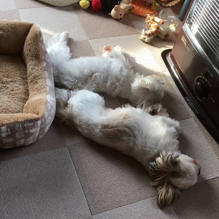 585b3c77 df51 4c69 bea5 d2fe9496e6d8 1512690720121