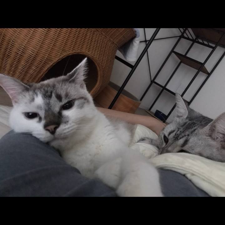 585b49b8 1330 44b2 9c98 843430970dd3 1537392567996