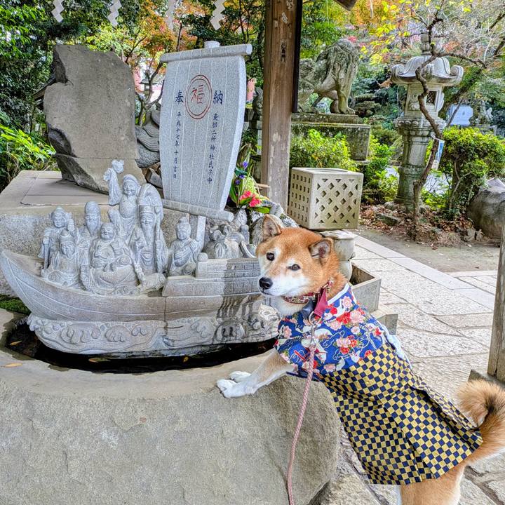 585b5223 e2bc 48d8 9718 63a7ccbe3e97 1762997874351