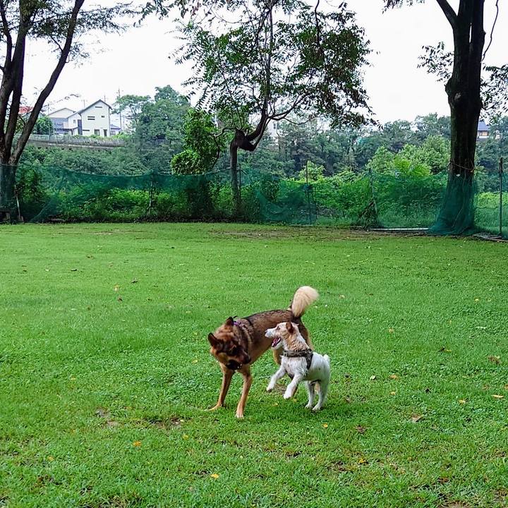 585b52af 4c1e 4db3 a9d8 f28ff03c2612 1725081415438