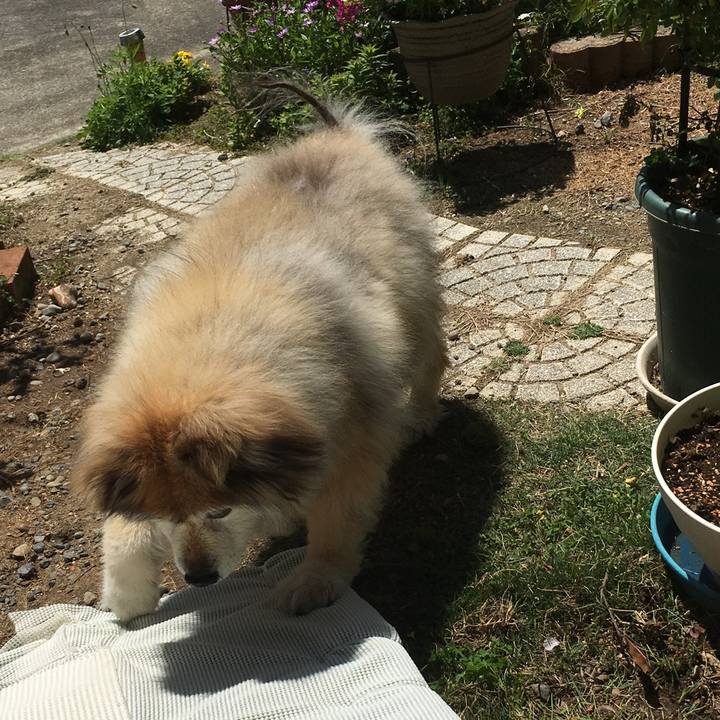 585b6fb9 34aa 464a bebc 04c40b96d776 1572938211661