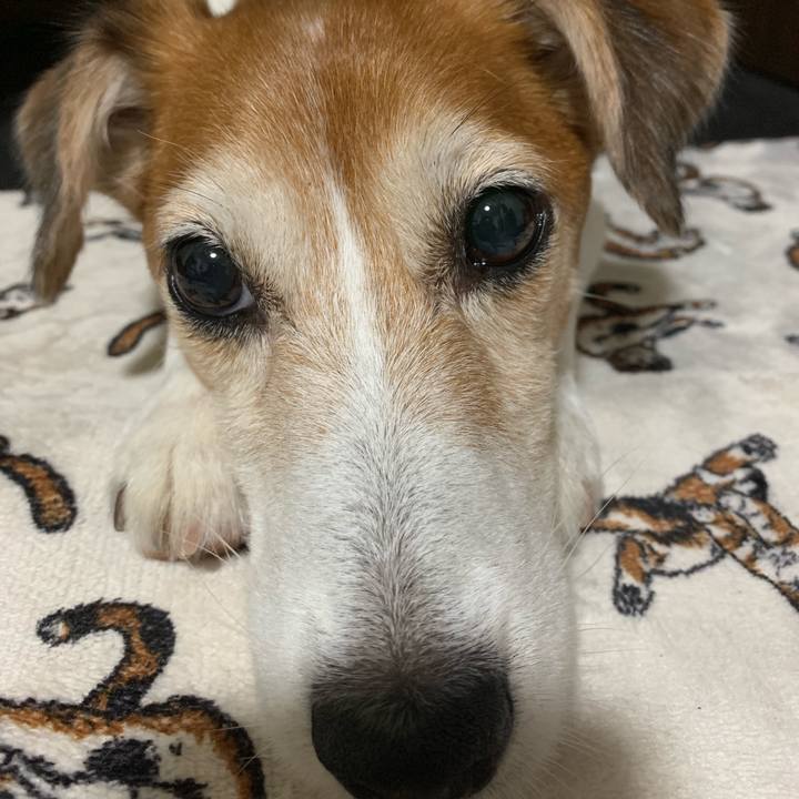 585b775c 8228 421f 90a0 ae9ade920eee 1564203783837