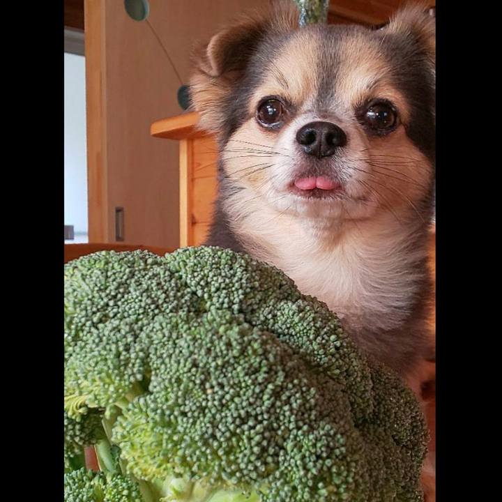 585b8b03 a142 4386 ba09 7296f8daa4ed 1758858725507