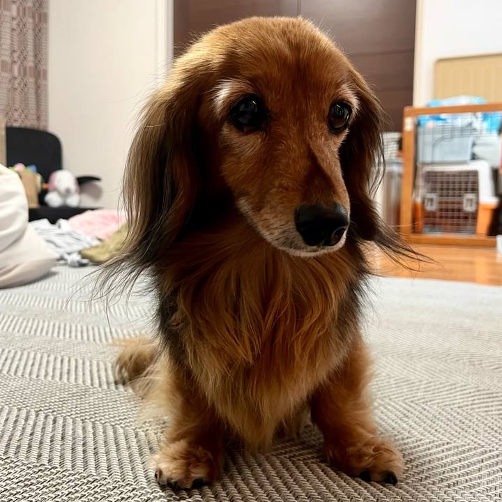 585b8b48 27cf 4c7b a41b 8b0c2af3c1a7 1769319647648