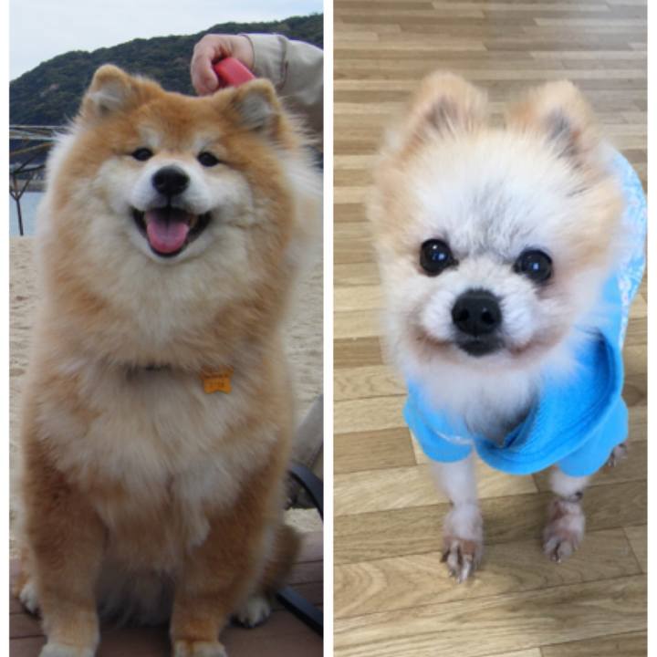 585b9879 56b8 47e6 a6f9 6b7ba9e94551 1521681142173