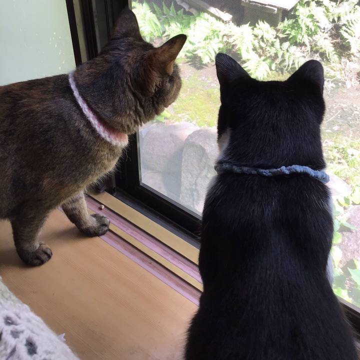 585baaea 4540 4b93 8093 10e7066e8882 1662176990799