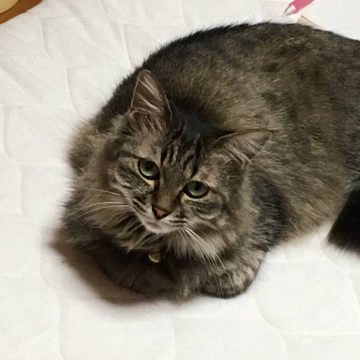 585bacbf 6d4f 4002 8661 fa997955aa5e 1599193053626