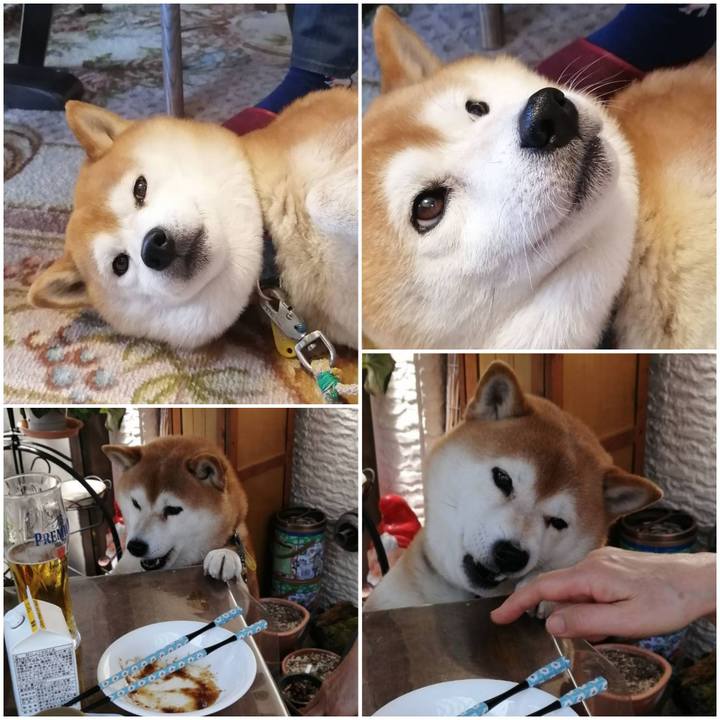 585bd03d e24e 42ce a3c3 8d7055bd6a36 1587786726554