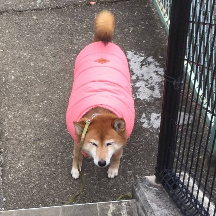 585c2044 2988 4c19 93fc 19ae745fabb9 1580089619764