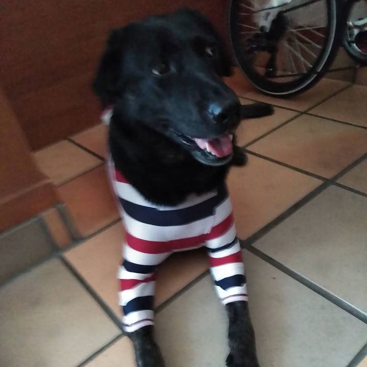 585c29f4 9cbf 4cb7 9fb2 2d8a0c064c6b 1586248956311