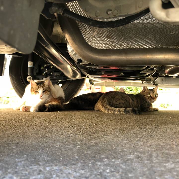 585c8957 078f 405c a7ce cc0f6b76f0f1 1536145302803