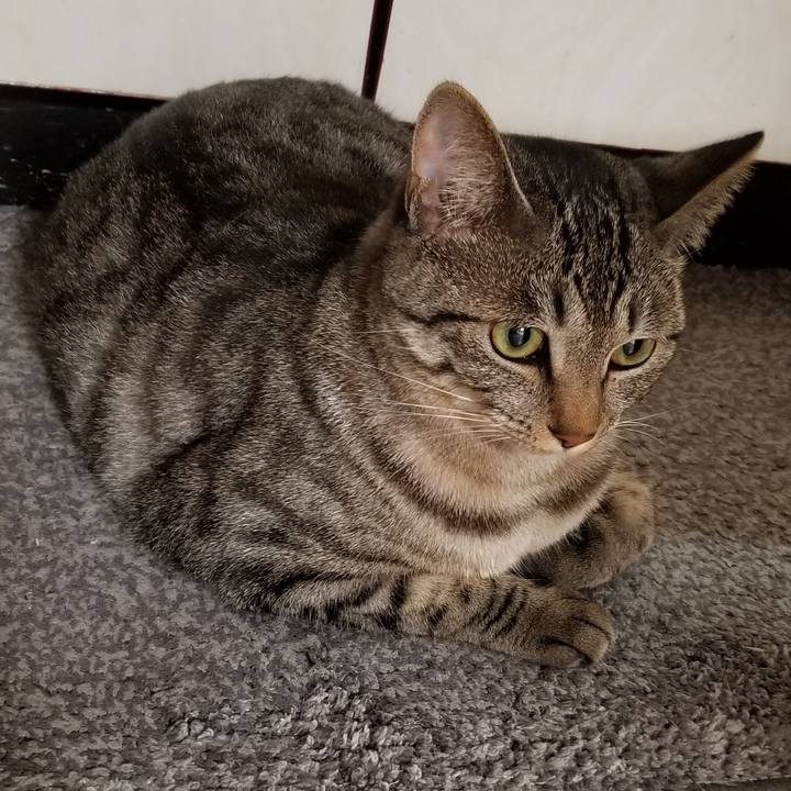 585c9e17 aeea 49e5 906a 32ad6bc17ff6 1688563232994