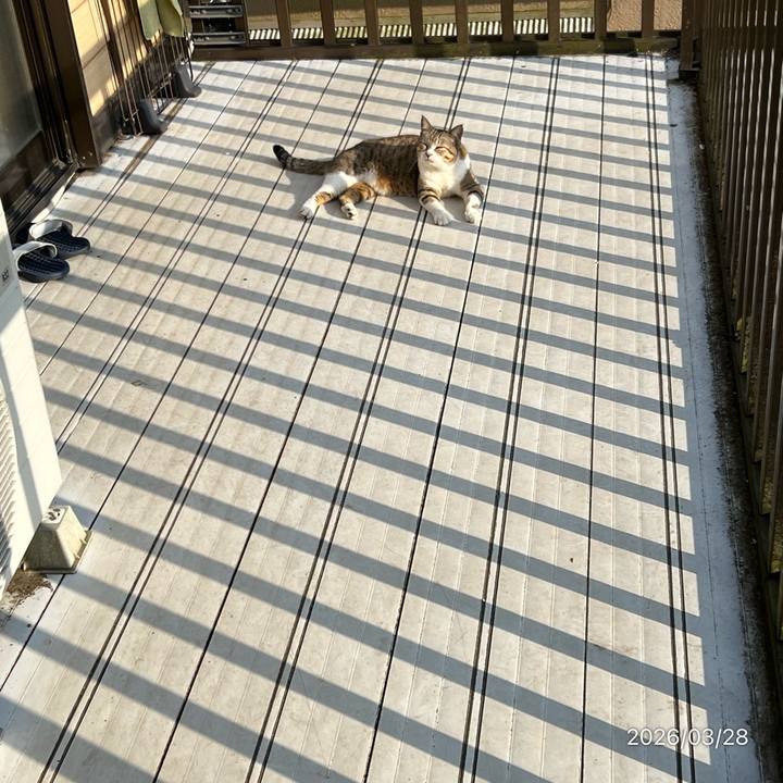 585cabfd bdcf 41c3 8a5c 770025be528d 1774681285253