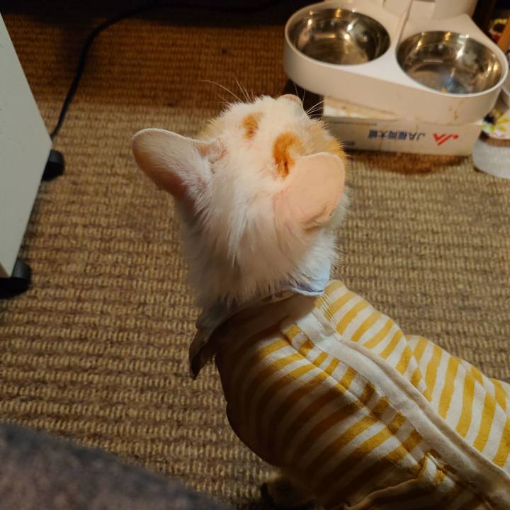 585cd4a9 ccb3 4934 860b 3db1c69edb23 1768989847067