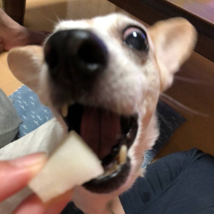 585cd818 5f5c 4dc9 95cd 2023f83452a0 1534938806379