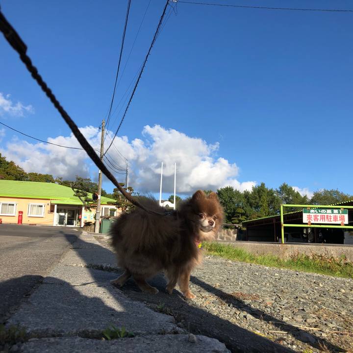 585cf0fd 502f 4fca 8456 45220f55b4ec 1634108760278