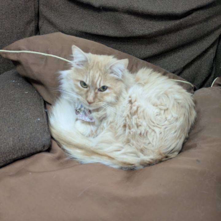 585d0e99 4fa3 490a 90f4 61915ef2d150 1773801054166