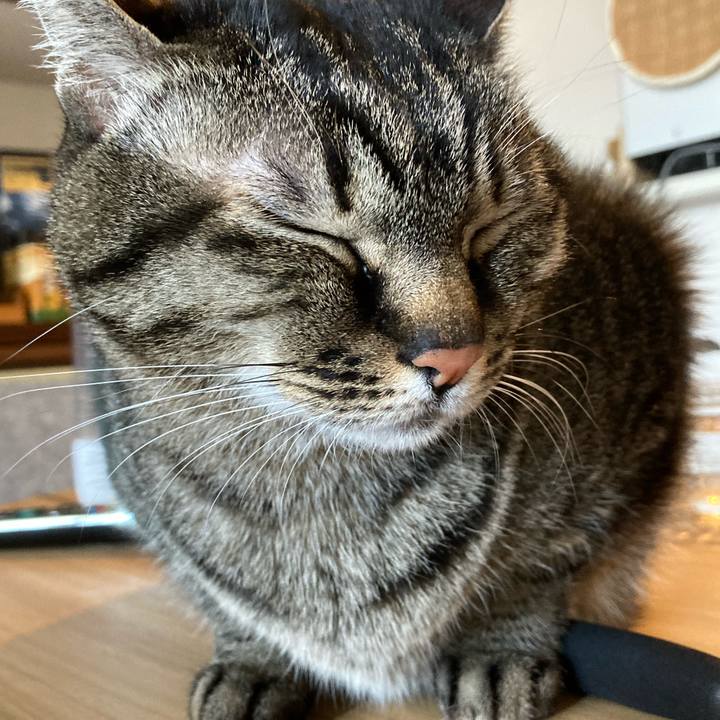 585d3152 13a9 4d80 9dc4 57291099964e 1614409200604