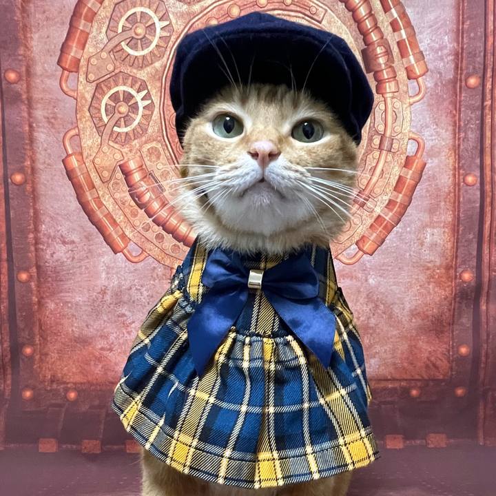 585d444e 782d 4fd4 849d 0ea29c3a0b03 1726225573387