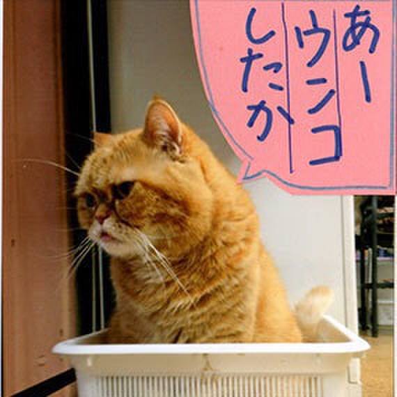 585d46e6 7c8a 4963 b088 dfba73232ca1 1544581825124