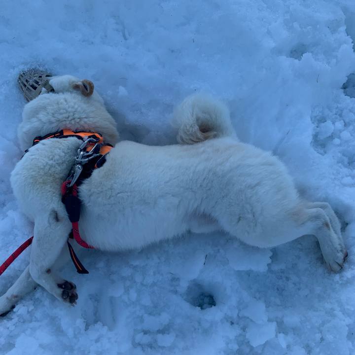 585d6554 6325 4a3d b8fd 88023216aa77 1638160894451