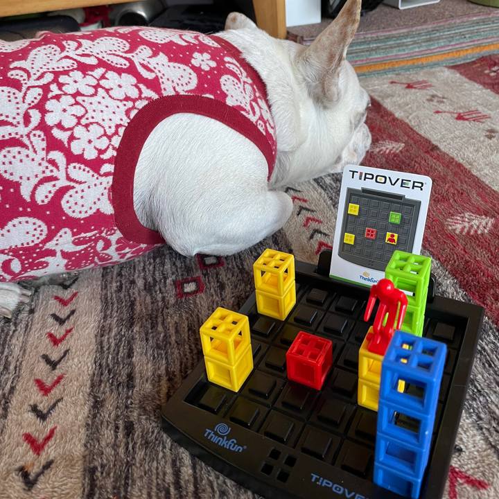 585d7467 addd 4202 8577 f0eea69b138a 1740093515073