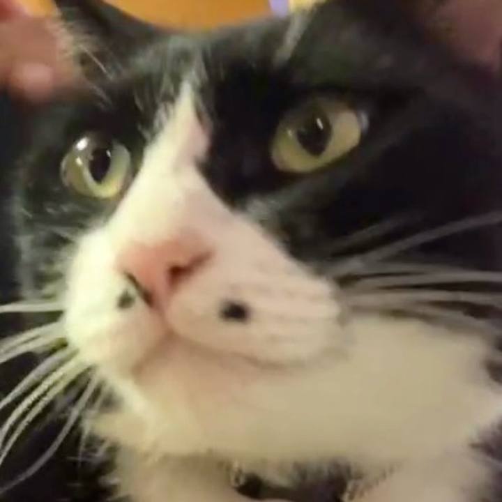 585d7f48 6ba6 47d9 b420 268ecbdd61e5 1728536716833