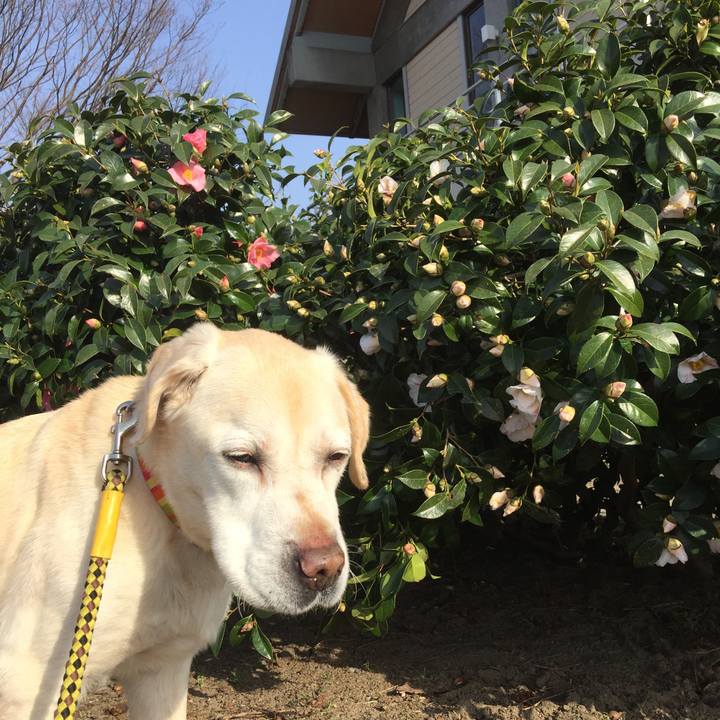 585d8d2c 4d8b 46ff ab4e 85bf4a273ca0 1522740973597